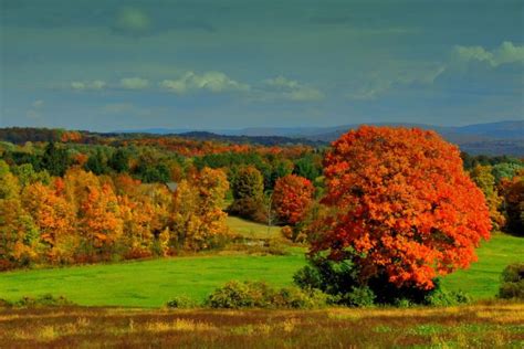 Fall Foliage Photography In Southwestern Vermont Fall Foliage Vermont