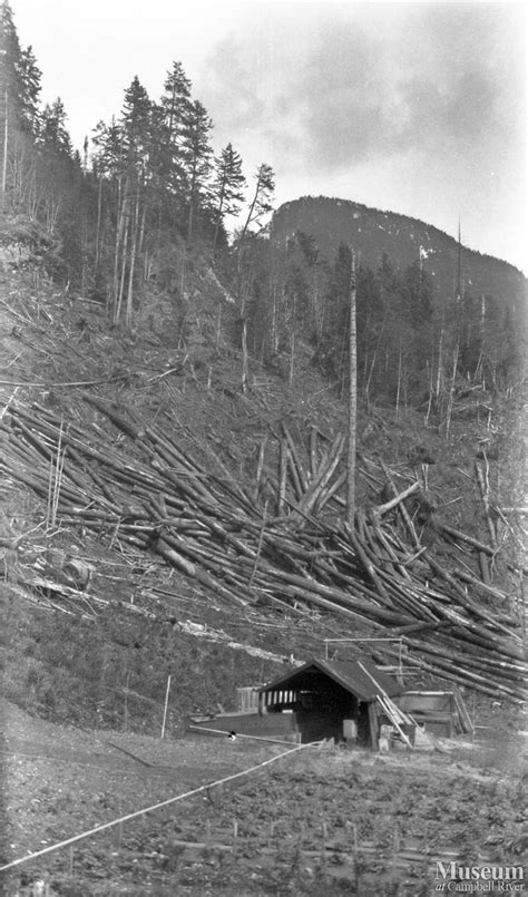 Logging In Bute Inlet Campbell River Museum Online Gallery