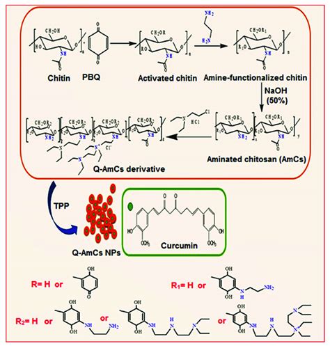 A Schematic Diagram For The Synthesis Of Quaternized Aminated Chitosan Download Scientific