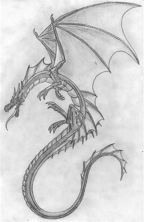 Fresh cool dragon drawings in pencil www pantry magic com. Cool Dragon Sketches at PaintingValley.com | Explore ...