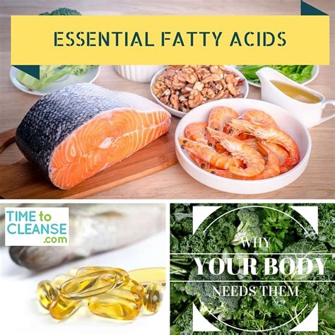 Essential Fatty Acids What Are They And Why Do We Need Them