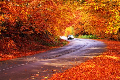 Seasonal Dangers When Driving: Fall - Robert J. DeBry