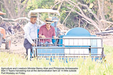 Demonstration Rice Farm Makes First Harvest The National