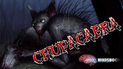 The Chupacabra Cryptid Myth Or Reality Mindshock Podcast Youtube