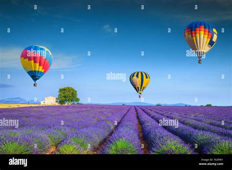 Amazing Flowery Summer Landscape Flying Colorful Hot Air Balloons Over