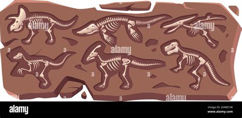 Dinosaur Land Fossil Museum Cut Out Stock Images Pictures Alamy