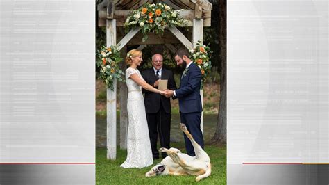 Cute wedding photo with dog photobomb boone the lab. Dog Photobombs Owners' Wedding Photo, Goes Viral