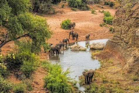 Le Kruger National Park