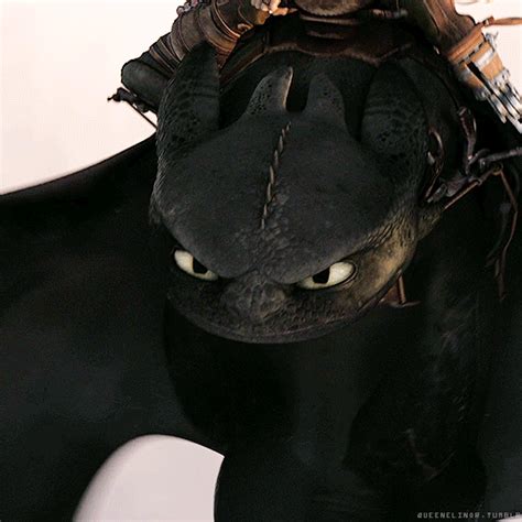 Somebodys Angry Toothless Pinterest Httyd Toothless And Dragons