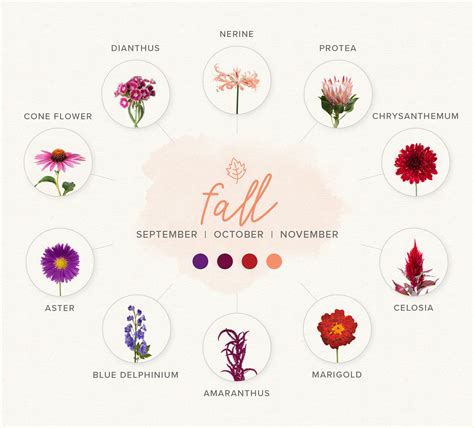 A Guide To Choosing Seasonal Blooms For Your Wedding Flowers