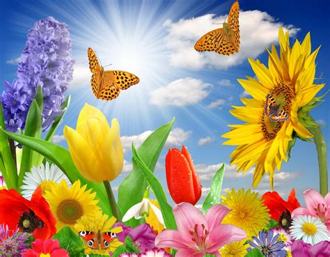 By default, it rotates through the you can make any of these options the new default via the screensaver's settings, where you can also change the number of flowers, the speed of. Spring Flower Desktop Backgrounds - Wallpaper Cave