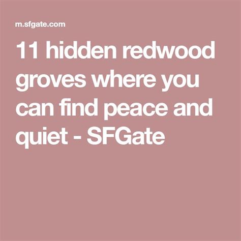 11 Hidden Redwood Groves Where You Can Find Peace And Quiet Sfgate