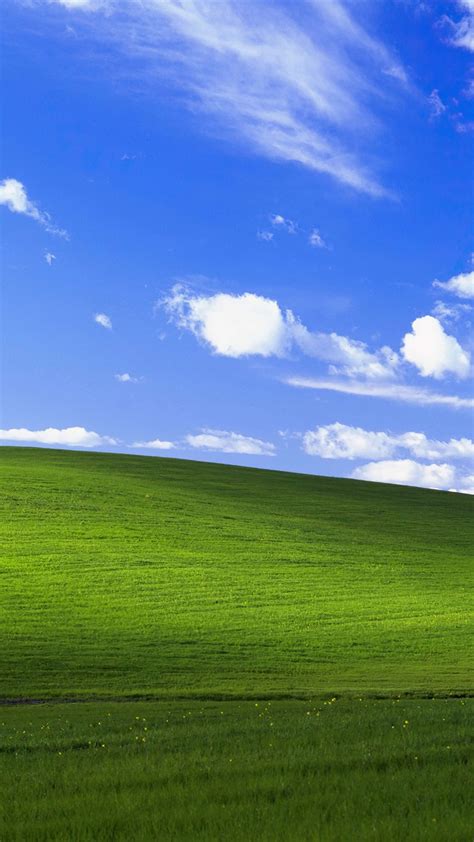 Windows Xp Bliss Wallpapers Hd Wallpapers Id 11640