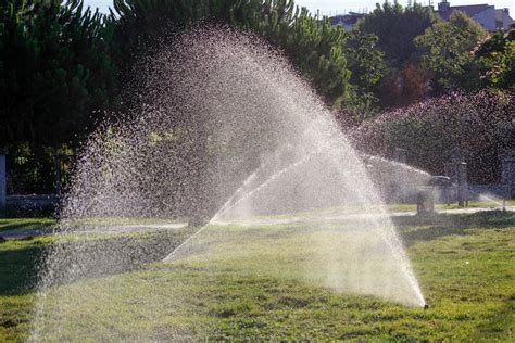 Optimiser Votre Jardin Avec Un Kit D Arrosage En Goutte Goutte