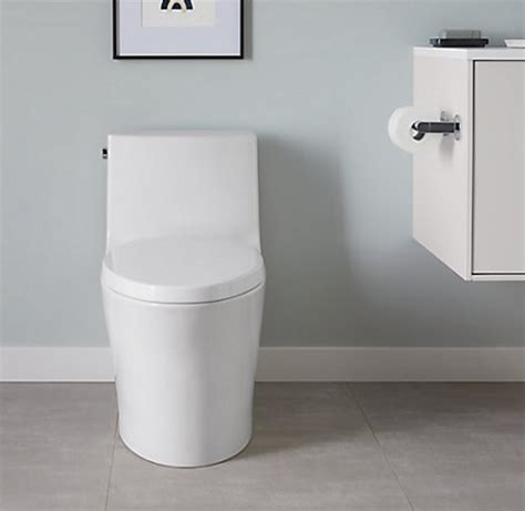 Kohler Veil™ One Piece Elongated Dual Flush Toilet With Skirted Trapway