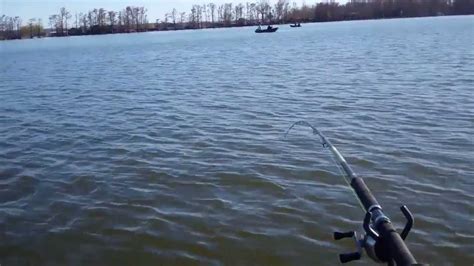 Reelfoot Lake March 10 Chippy Solo Youtube