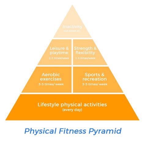 Physical Fitness Pyramid Physical Activities Ranked From More To Less