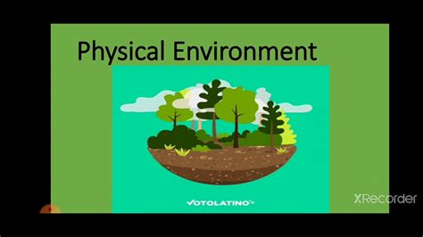 Physical Environment Youtube