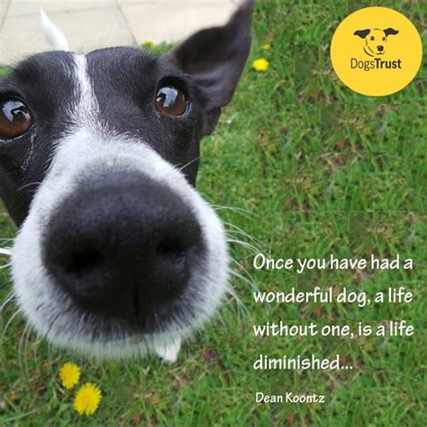 Once You Have Had A Wonderful Dog A Life Without One Is A Life