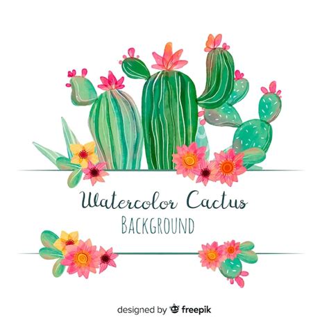 Fondo Cactus Acuarela Vector Gratis