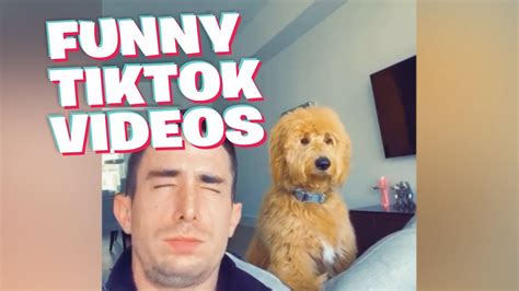 Funniest Tik Tok Compilation That Will Make Your Day Youtube