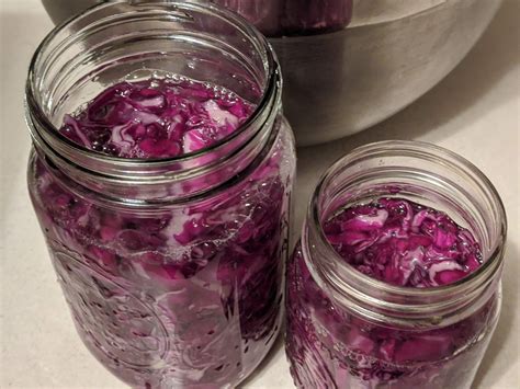 homemade sauerkraut fermented grace goals and guts