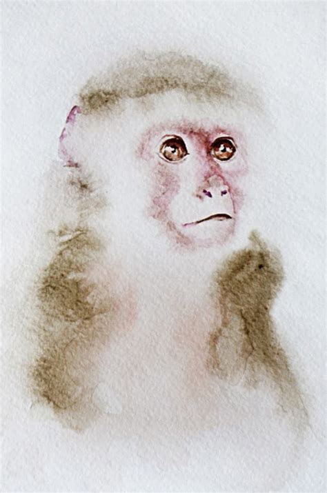 Monkey Watercolor Paintings Of Animals Monkey Painting Monkey Art
