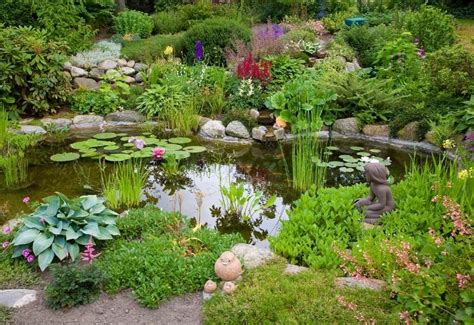 16 Best Aquatic Pond Plants For Your Functional Water Garden