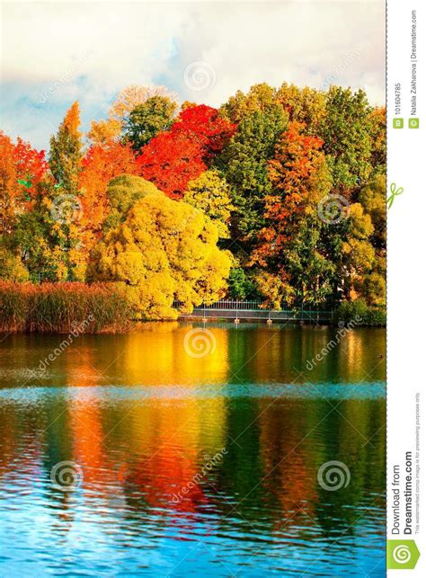 Beautiful Autumn Park With Colourful Leaves Trees And Lake Stock