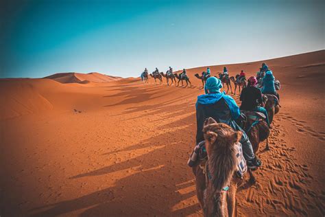 Morocco Tours Travel Agency Camel Rides In Desert Marrakech Camel Trips