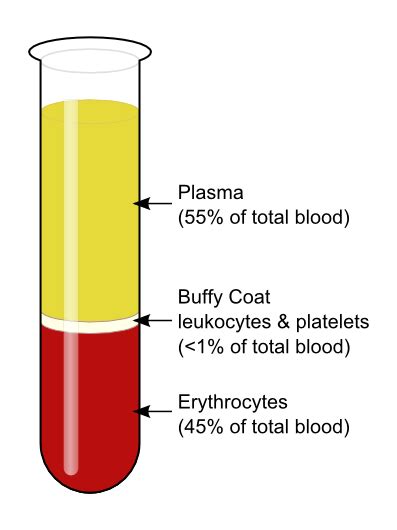 408 Components Of The Blood Plasma And Serum Biology Libretexts