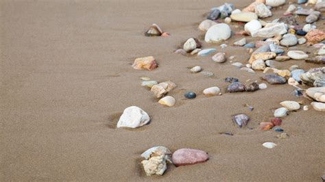 Pebbles On Sandy Beach Free Stock Photo Public Domain Pictures