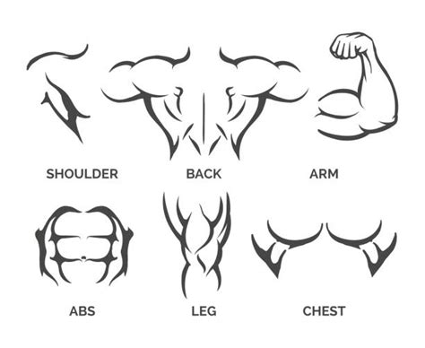 Abs Illustrations Royalty Free Vector Graphics And Clip Art Istock