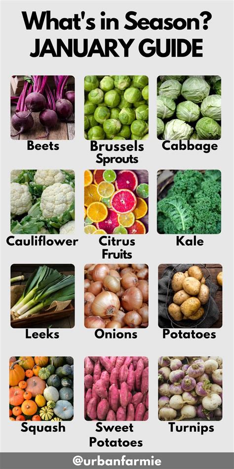 Whats In Season January Produce Guide 2024