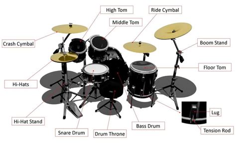 Best Drum Set In India Reviews Ultimate Guide Hot Sex Picture