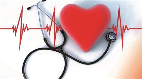 Qué Son Los Niveles De Salud Cardiovascular Y Por Qué Se Asocian Con Una Mayor Esperanza De Vida