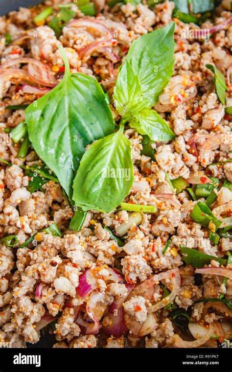 Spicy Minced Pork Salad Larb Moo Thai Food Stock Photo Alamy