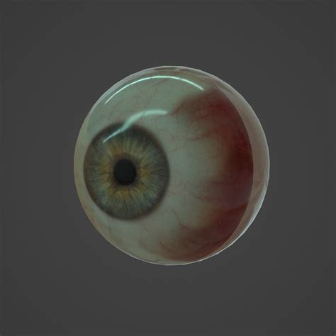 Human Eye 3d Asset Cgtrader