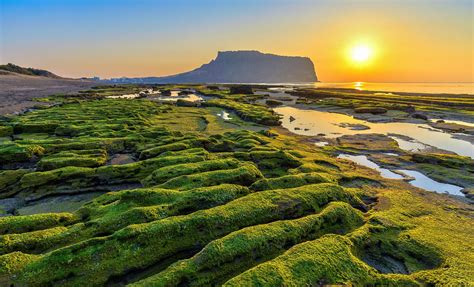 The 10 Best Jeju Island South Korea Cruise Excursions And Shore Trips