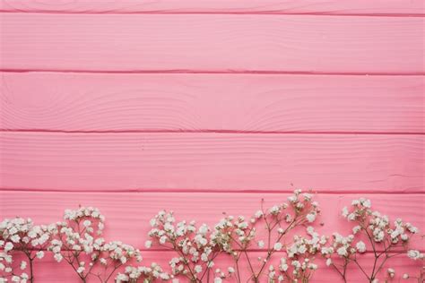 Pink Wooden Surface With Decorative Twigs Photo Free Download