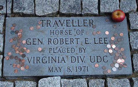 Traveler Robert E Lee