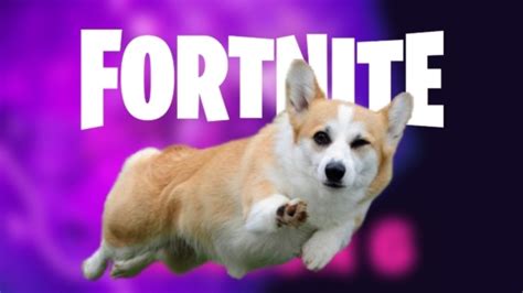 Fortnite Dog Pet Fortnite Season Yt