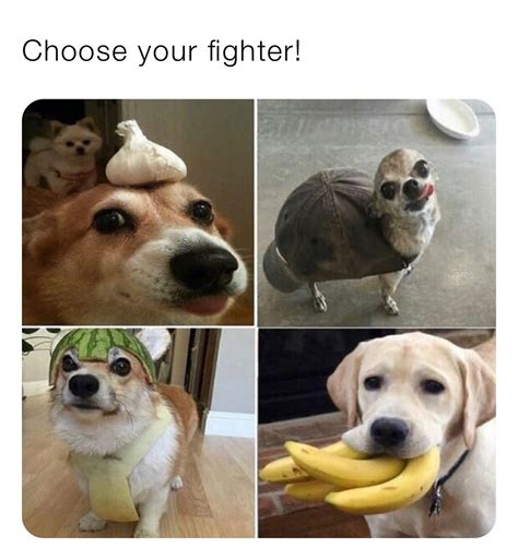 Choose Your Fighter Urdad99 Memes
