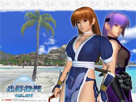 kasumi and ayane dead or alive wallpaper 24242589 fanpop