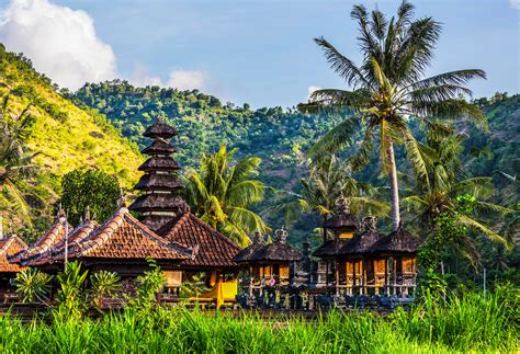Monkey Forest Op Bali Dit Is Wat Je Kunt Verwachten Van Het Apenbos