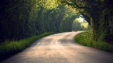 Path Nature Blurred Tunnel Trees Road Wallpapers Hd Desktop And