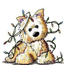 Collection by ann henderson • last updated 2 days ago. cairn terrier drawing | Animal drawings, Dog drawing ...