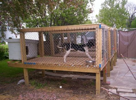 Ukc Forums More Above Ground Kennel Pics Please Dog Kennel Outdoor