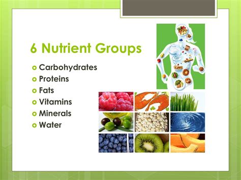 Ppt Nutrition Powerpoint Presentation Free Download Id6509199
