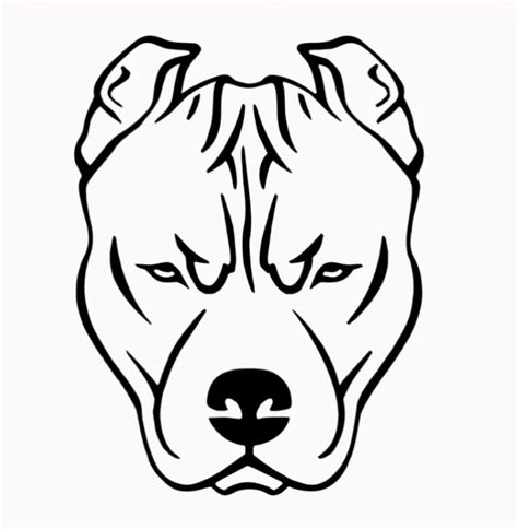 Dog Face Drawing For Kids Step By Step Como Dibujar Un Perro Perros